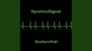 Bottomfish (Original Mix)