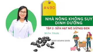 #490. NHÀ NÔNG KHÔNG SUY DINH DƯỠNG - Tập 2 - Sữa hạt mè (vừng) đen