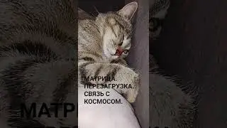 🔋🔌ПОДЗАРЯДКА СЕМЕНА ДЛЯ НОВЫХ ПОДВИГОВ