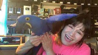 Why I don&rsquo;t want to wear a mask!