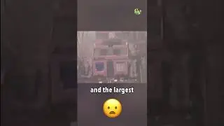 Largest Peacetime Disaster in South Korean History!! 😱😱 (Sampoong department store)