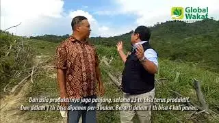 Wakaf Lahan Serai Aceh | Global Wakaf - ACT