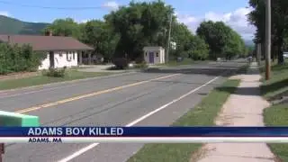 8-year-old Adams boy struck, killed by vehicle