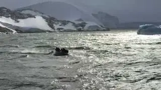 White Wilderness