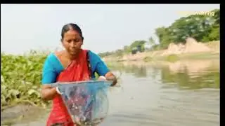 hand fishing video||women hand fishing||woman fishing in river#fishing#fish#hand_fishing#fishingnet