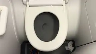 WestJet Airlines B737 Flight 1680 Toilet