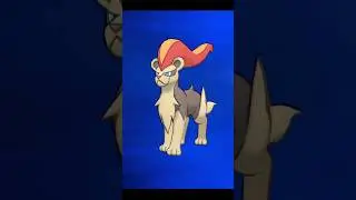 litleo Evolves into Pyroar #pokemon #pokemonevolution #gamingshorts #gaming #shortsfeed #shorts