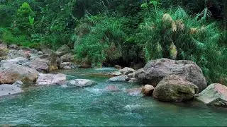4K-HDR | Deep River Nature Soundscape for Sleep and Relaxation | Water Ambience for Stress Relief