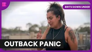 Brit Backpackers Battle Outback Farm Life and Redback Spiders
