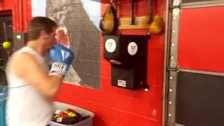 TITLE Wall Mount Heavy Bag Test & Review