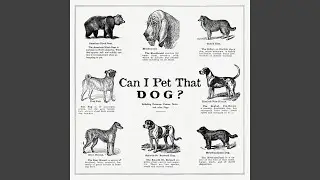 Can I Pet That Dog?