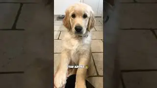 LES B&Ecirc;TISES DE SPAROW 😳