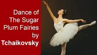 Dance Of The Sugar Plum Fairies by Tchaikovsky