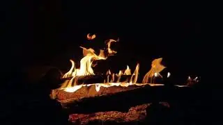 Relaxing night sounds (crickets, birds) - Tuscany countryside