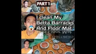 I Clean My Betta Barracks and My Floor Mat
