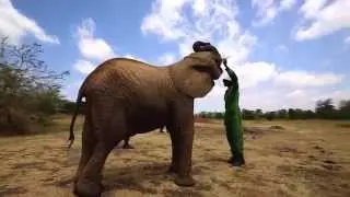 Umani Springs - Kibwezi Forest | Sheldrick Trust