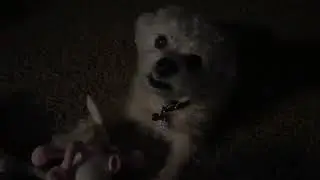 Ernie has fun with his Deedle Dude