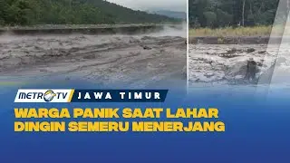 Trapped by Semeru's Cold Lava Flood, Residents Survived Thanks to Luck!