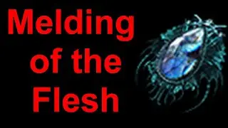 Melding of the Flesh - vysvětlen&iacute; unique předmětu (Path of Exile, 3.20) [4K, česky, Jan Pru&scaron;&aacute;k]