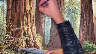 Keith Rust Illustration - Creating Giant Sequoia Groves