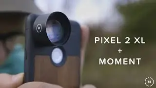 Google Pixel 2 Camera + Moment M-Series Lenses | Comparison Vlog