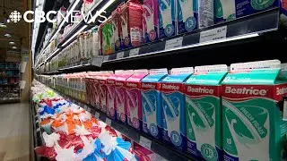 How different types of milk affect bone and muscle health in adults over 50