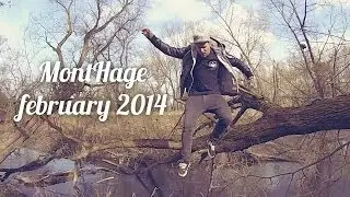 MontHage | February 2014 | Sunny Days Galore