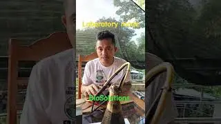 #farmlife Laboratory Mode: BioSolutions processes #rssi #agrifuture #agrifuture #soilhealth #shorts