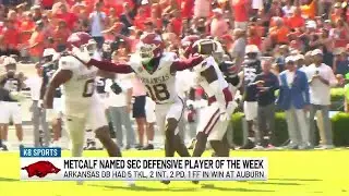 Arkansas DB TJ Metcalf named SEC Defensive Player of the Week