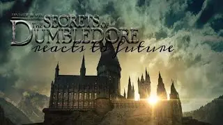 Fantastic beasts reacts to future 1/? |  chiara.edizz