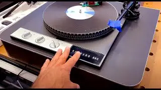 Having fun with Turntable Projects at SkyFi Audio: Thorens, Garrard, Linn...