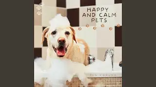 music for happy pets