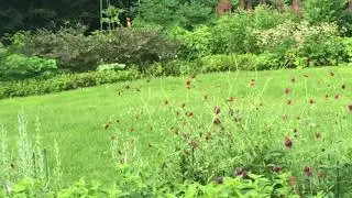 Joy of Movement 1