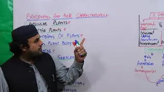 Lec # 3 |Characteristics of Bryophytes | NMDCAT MCQ,s | By Lecturer Sajjad Khan |