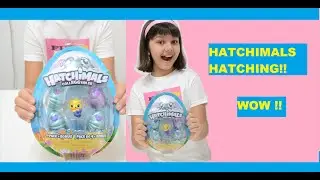 How to hatch hatchimals - unboxing and how to - colleggtibles - kids playing with toys