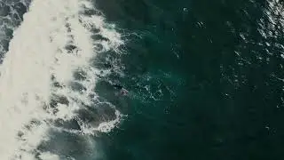 ORCA SwimRun - combinaisons, pull buoys, plaquettes