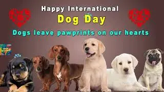 Happy International Dog Day Whatsapp Status Wishes Quotes Video April 26 2023 | National Dog Day