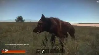 волк RUST на эксперементальной версии