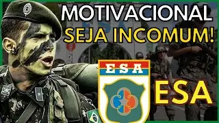 MOTIVACIONAL ESA: SEJA INCOMUM