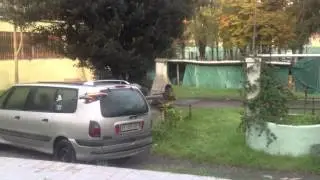Heli 3D Italian Champion, Mirko Cesena, flies with his Blade 130X in the yard