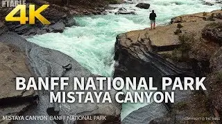 BANFF NATIONAL PARK - Mistaya Canyon, Alberta, CANADA, Travel, 4K UHD