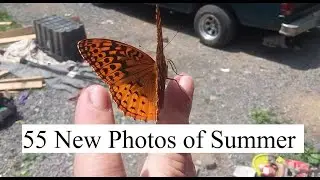 Day 55: 55 New Photos of Summer