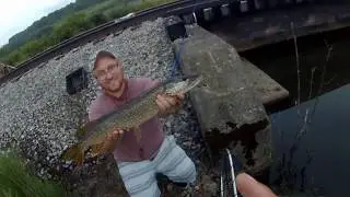 Lost WNY Fishing Clips! 2018