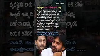 AP POLITICS Pawan Kalyan Strong Comments on Alliance Unity: Criticizes Viral Content Over Pithapuram