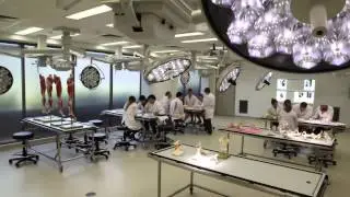 Doctor of Physiotherapy at Macquarie