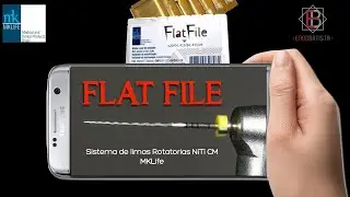 Flat File   MKLife