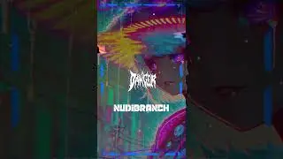 Track Preview: Nudibranch #bassmusic #leftfieldbass #trackpreview
