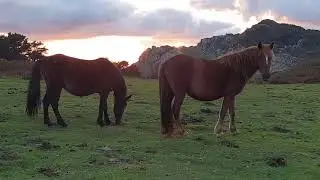 Cerredo Cantabria Por Aresvy Juan 2018