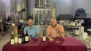 2023 Old Son Chambourcin Wine Explainer