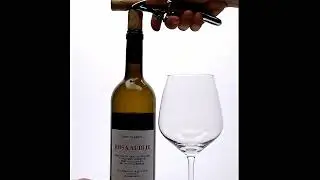 Video muestra pre-promoci&oacute;n en web de Bodega Felipe Cerro